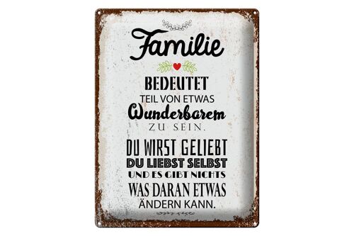 Blechschild Spruch Familie Teil von etwas wunderbarem 30x40cm