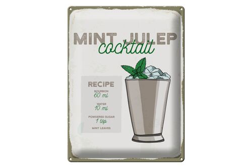 Blechschild Rezept Mint Julep Cocktail Recipe 30x40cm