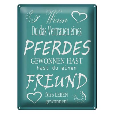 Blechschild Spruch 30x40cm Wenn du Vertrauen eines Pferd