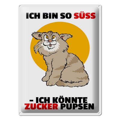 Blechschild Spruch 30x40cm Bin süß könnte Zucker pupsen (Katze)