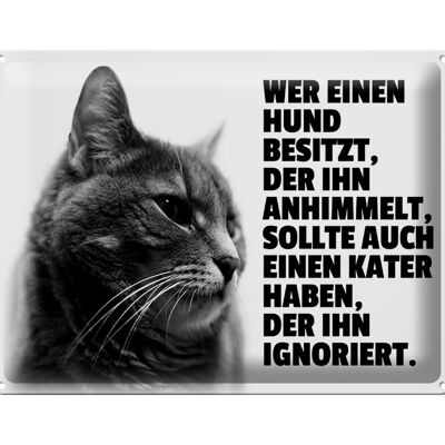 Blechschild Spruch 40x30cm Hund himmelt an Kater ignoriert