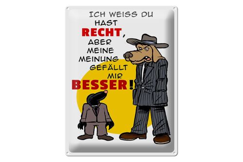 Blechschild Spruch 30x40cm meine Meinung gefällt mir besser