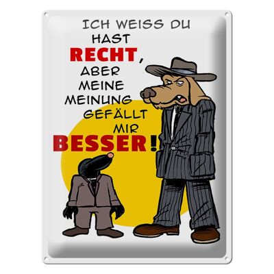 Blechschild Spruch 30x40cm meine Meinung gefällt mir besser