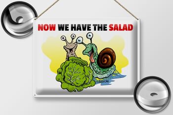 Plaque en tôle 40x30cm Maintenant, nous avons les escargots à salade 2