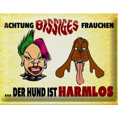 Blechschild Spruch 40x30cm Achtung bissiges Frauchen Hund