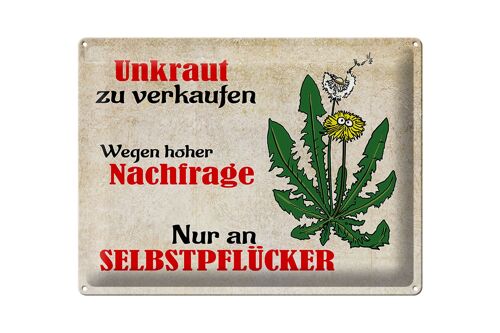 Blechschild Spruch 40x30cm Unkraut nur an Selbstpflücker