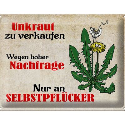 Blechschild Spruch 40x30cm Unkraut nur an Selbstpflücker