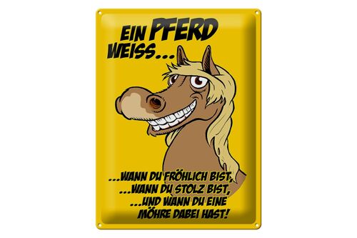 Blechschild Spruch 30x40cm Ein Pferd weiß wann fröhlich