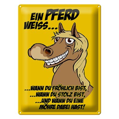 Blechschild Spruch 30x40cm Ein Pferd weiß wann fröhlich