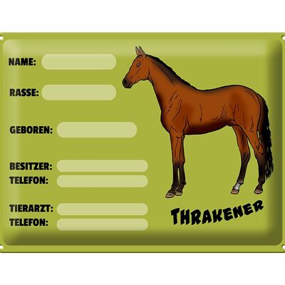 Blechschild Pferd 40x30cm Thrakener Name Besitzer Rasse