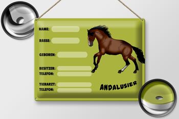 Plaque en tôle cheval 40x30cm, nom andalou, propriétaire, race 2