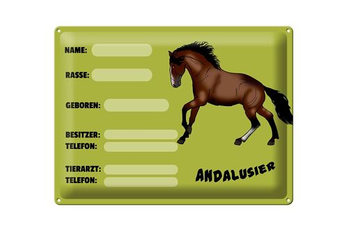 Blechschild Pferd 40x30cm Andalusier Name Besitzer Rasse