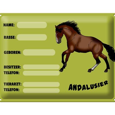 Blechschild Pferd 40x30cm Andalusier Name Besitzer Rasse