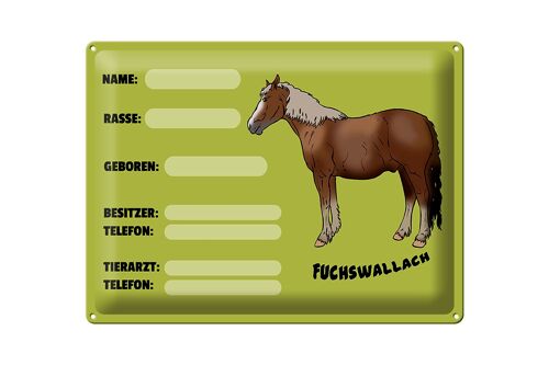 Blechschild Pferd 40x30cm Fuchswallach Name Besitzer Rasse