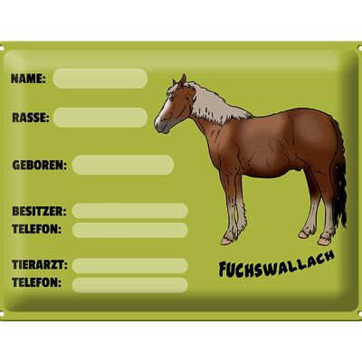 Blechschild Pferd 40x30cm Fuchswallach Name Besitzer Rasse