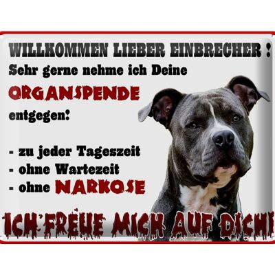 Blechschild Hinweis 40x30cm Hund Willkommen Einbrecher