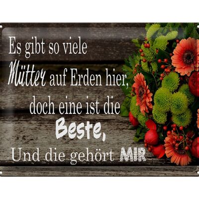 Blechschild Spruch 40x30cm es gibt viele Mütter doch eine