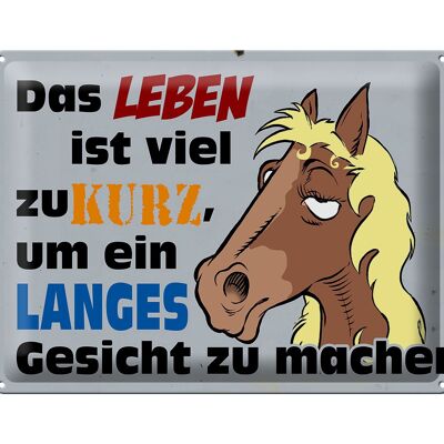 Blechschild Spruch 40x30cm das Leben ist zu kurz um Pferd