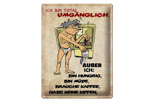 Blechschild Spruch 30x40cm bin total umgänglich außer