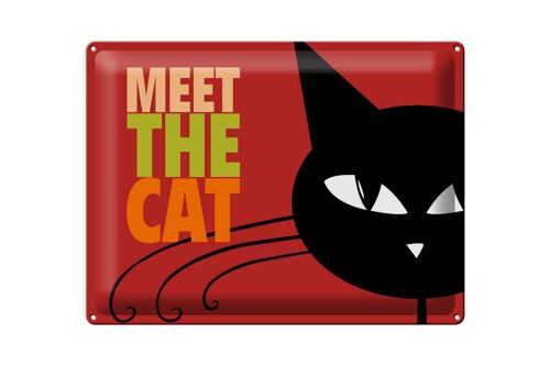 Blechschild Spruch 40x30cm Katze Meet the cat