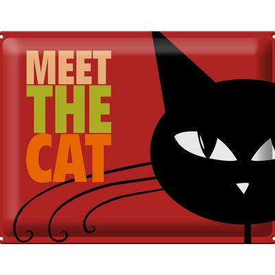 Tin sign saying 40x30cm cat Meet the cat