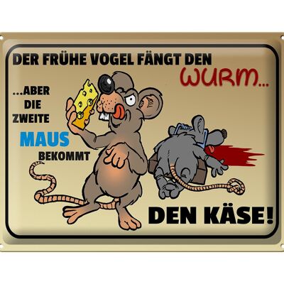 Blechschild Spruch 40x30cm der frühe Vogel fängt den Wurm