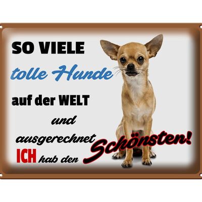 Blechschild Spruch 40x30cm ich hab den schönsten Hund