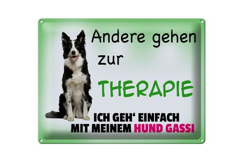 Blechschild Spruch 40x30cm ich geh' mit meinem Hund Gassi