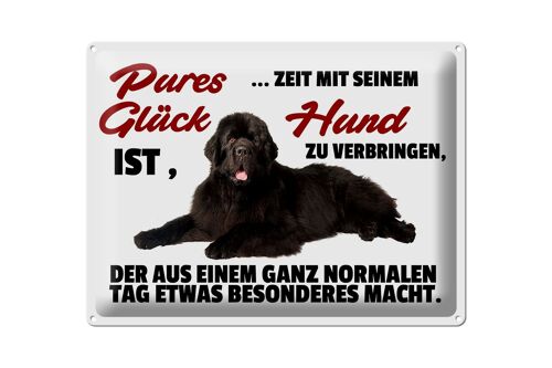 Blechschild Spruch 40x30cm pures Glück ist Zeit mit Hund