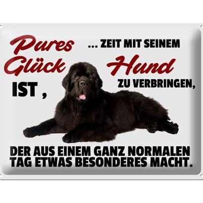 Blechschild Spruch 40x30cm pures Glück ist Zeit mit Hund