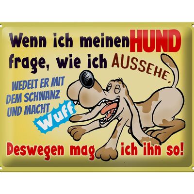 Blechschild Spruch 40x30cm wenn ich meinen Hund frage