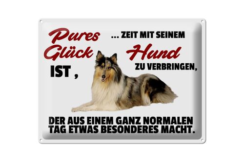 Blechschild Spruch 40x30cm Pures Glück Zeit mit seinem Hund