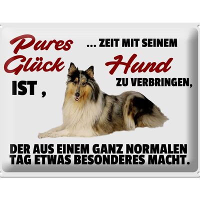 Blechschild Spruch 40x30cm Pures Glück Zeit mit seinem Hund