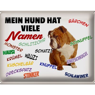 Blechschild Spruch 40x30cm mein Hund hat viele Namen