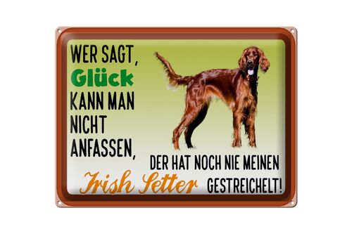 Blechschild Spruch 40x30cm Glück Irish Setter Hund