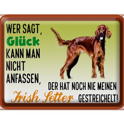 Blechschild Spruch 40x30cm Glück Irish Setter Hund