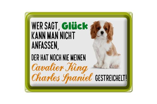 Blechschild Spruch 40x30cm Cavalier King Charles Spaniel
