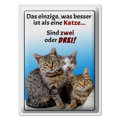 Blechschild Spruch 30x40cm einzige was besser ist als Katze