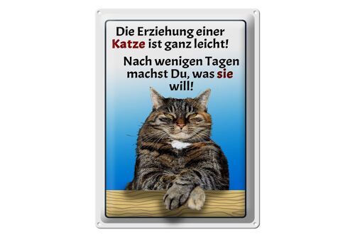 Blechschild Spruch 30x40cm die Erziehung einer Katze leicht