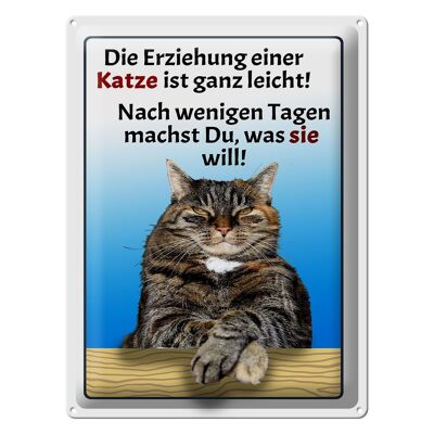 Blechschild Spruch 30x40cm die Erziehung einer Katze leicht