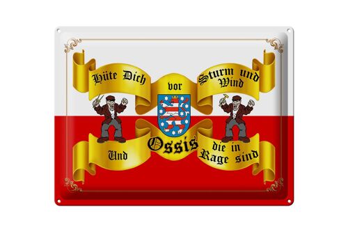 Blechschild Spruch 40x30cm hüte dich vor Sturm Wind Ossis Berlin