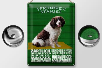 Panneau en étain indiquant 30x40cm Springer Spaniel chien tendre 2