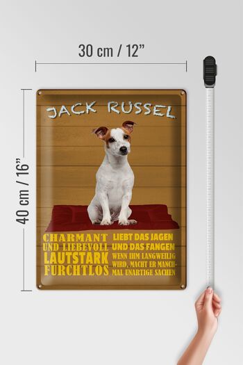 Plaque en tôle disant 30x40cm Jack Russel chien charmant 4