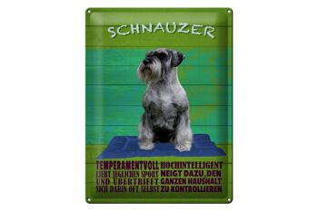 Plaque en tôle disant 30x40cm Chien Schnauzer fougueux 1