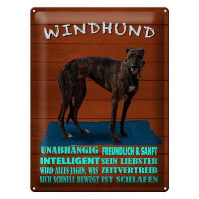Blechschild Spruch 30x40cm Windhund Hund intelligent sanft
