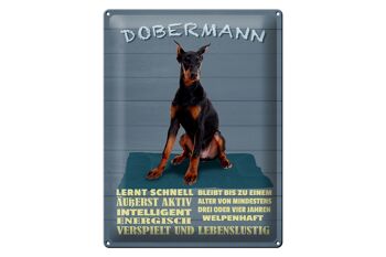 Plaque en étain indiquant 30x40 cm Doberman apprend le chien rapidement 1