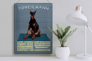 Plaque en étain indiquant 30x40 cm Doberman apprend le chien rapidement 3