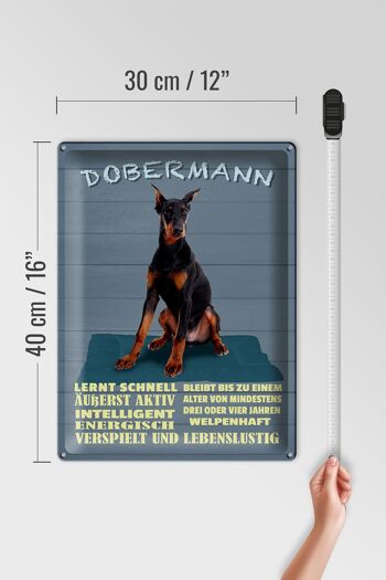 Plaque en étain indiquant 30x40 cm Doberman apprend le chien rapidement 4