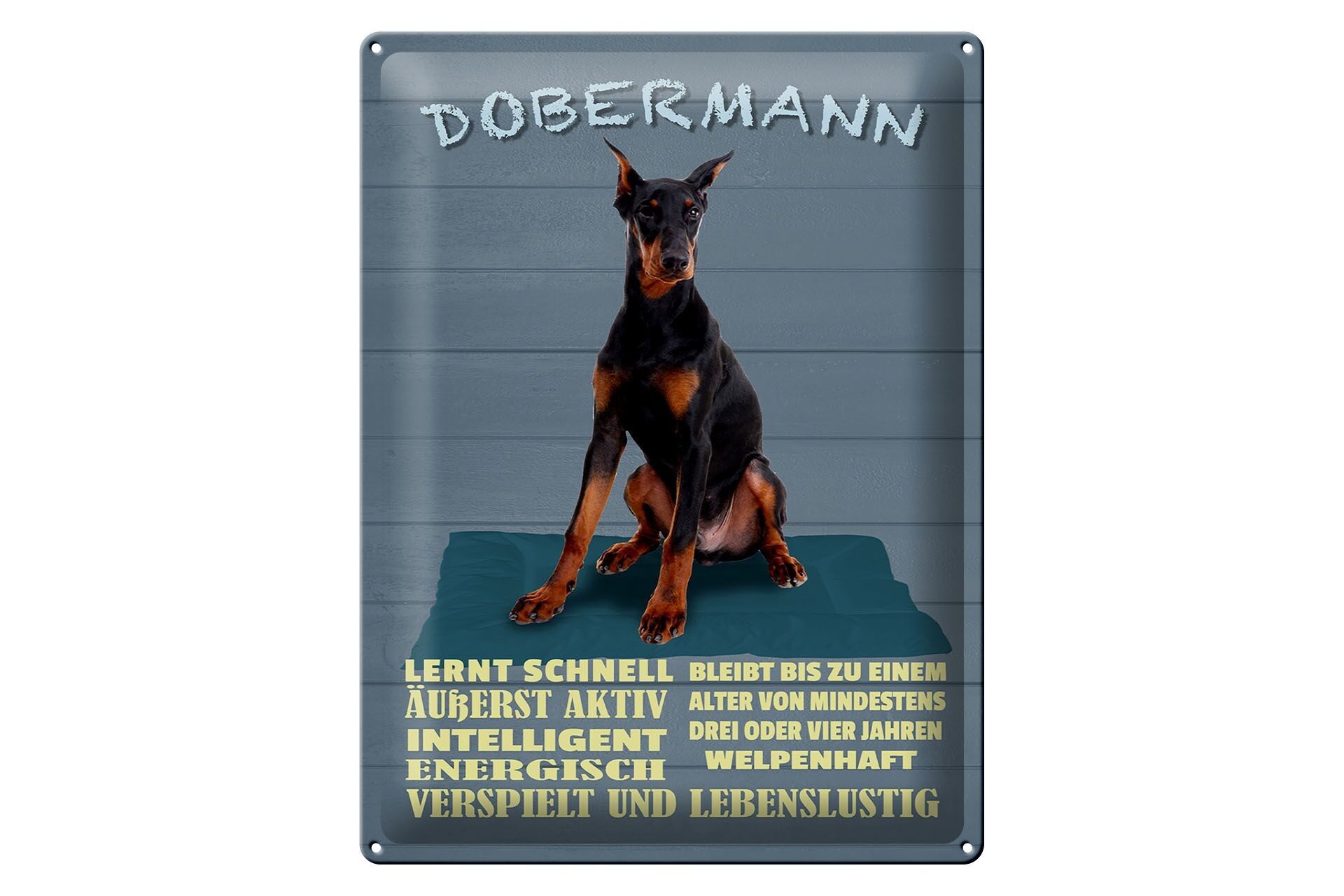 Cartel de chapa que dice 30x40cm Doberman aprende perro rápidamente