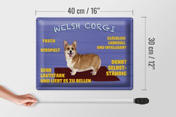 Panneau en étain disant 40x30cm Welsh Corgi chien effronté et ludique 4